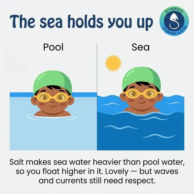 Stingrays Swim School social post: Ever noticed you float more easily in the sea? 🌊 It's not…