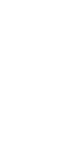 UNDP